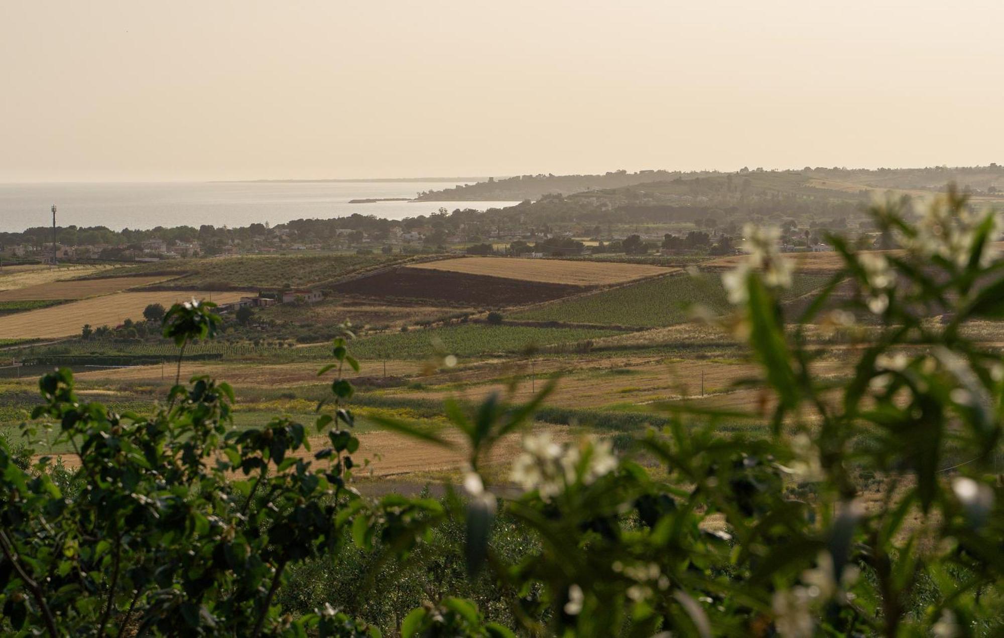 Casa Panoramica Tra Mare E Natura مينفي المظهر الخارجي الصورة